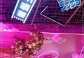 招聘跑腿员宣传文案（招募速递伙伴：活力跑腿员招募启事）