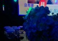 题无忧传媒招聘文案（无忧传媒岗位招募：创意文案高手）